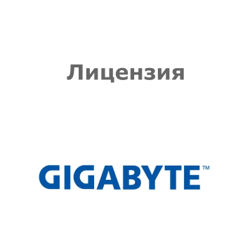 Лицензия Gigabyte 25FD0-R281N0-10R