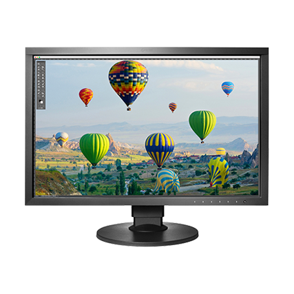 Монитор Eizo ColorEdge CS2410 (CS2410-BK)