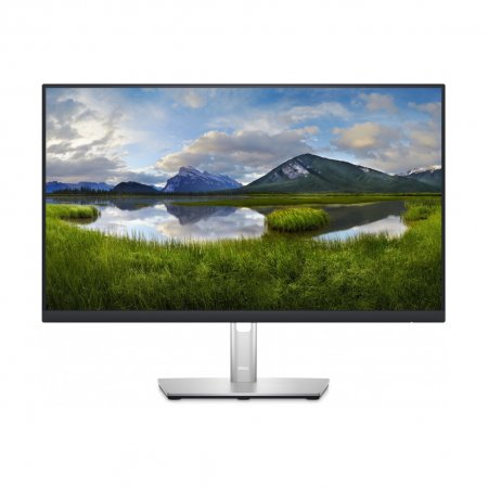 Монитор Dell P2423DE (210-BBSI)